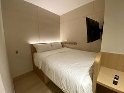 Mount Elizabeth Link (D9), Condominium #606374641